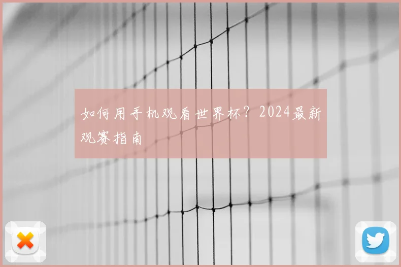 如何用手机观看世界杯？2024最新观赛指南